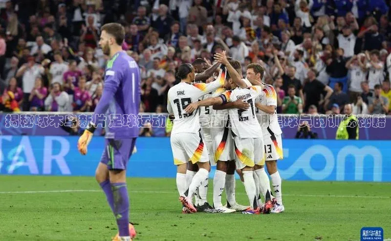 新宝GG手机版百度安全社区揭秘啄木鸟新片足球运动员：全面解析明星球员的训练秘籍