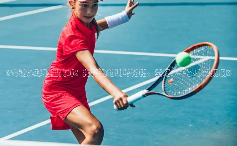 新宝gg官网登录地址同程《专访足球明星高峰：揭秘他的训练秘籍、赛场心态及未来规划》