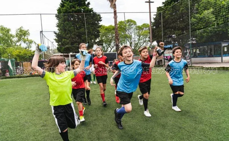 新宝gg创造奇迹官方登录入口姚记科技江苏苏宁足球队球员阵容大揭秘 - 欢迎了解江苏苏宁足球队名单