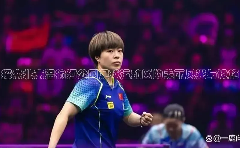 新宝gg创造奇迹平台总代理巴美列捷福探索北京温榆河公园足球运动区的美丽风光与设施