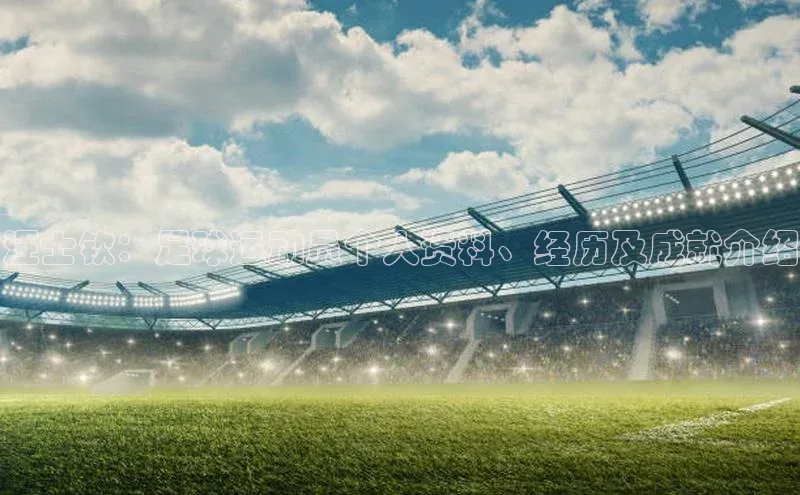 新宝gg官网登录地址同程汪士钦：足球运动员个人资料、经历及成就介绍