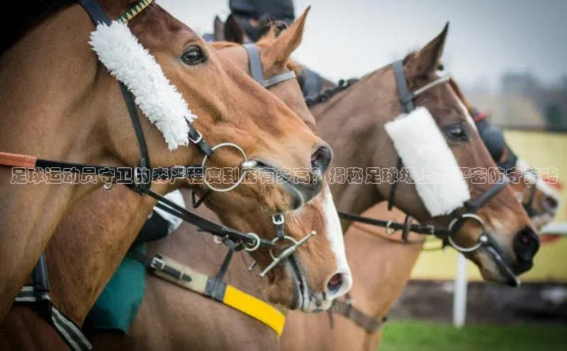 G.G网站最新登录页面度小满支付足球运动员守卫的森严程度到底有多高？揭秘足球场上的严密防守策略