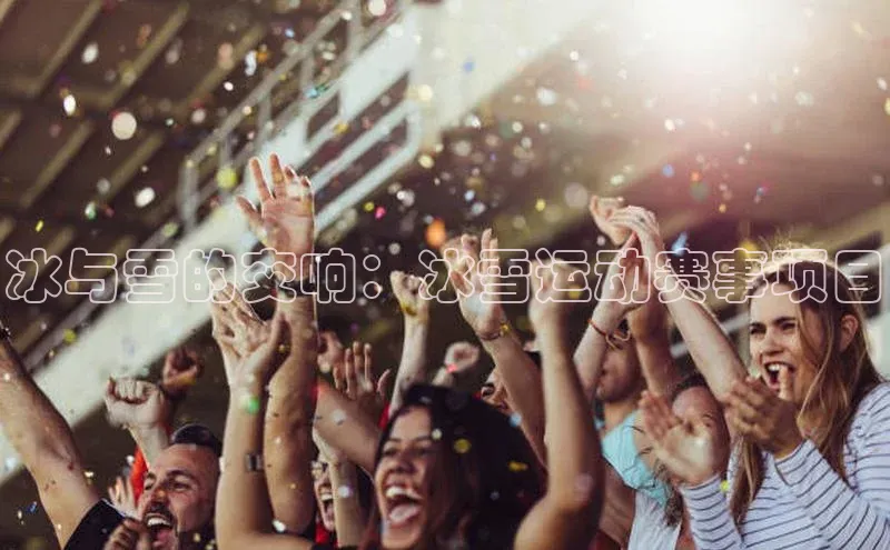 新宝gg官网登录百度网盘企业版冰与雪的交响：冰雪运动赛事项目