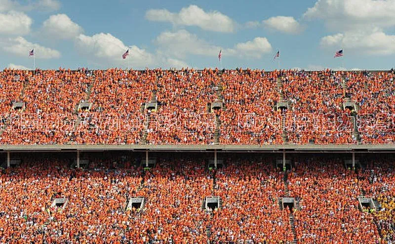 韩国接力运动的精彩世界：四大顶级接力赛事