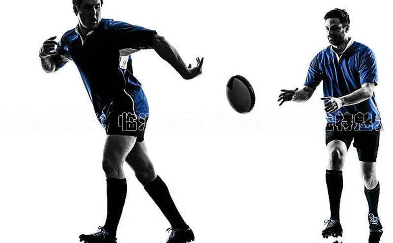 奔跑的激情：临沂李宁运动赛事中的独特魅力