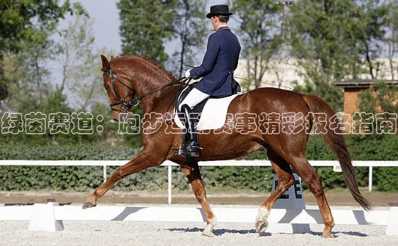 绿茵赛道：跑步运动赛事精彩报名指南