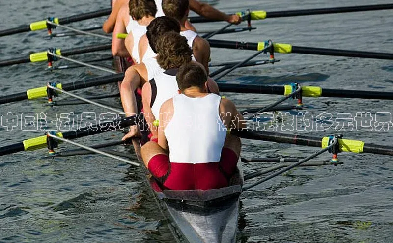 中国运动员赛事概览图：体育竞技的多元世界