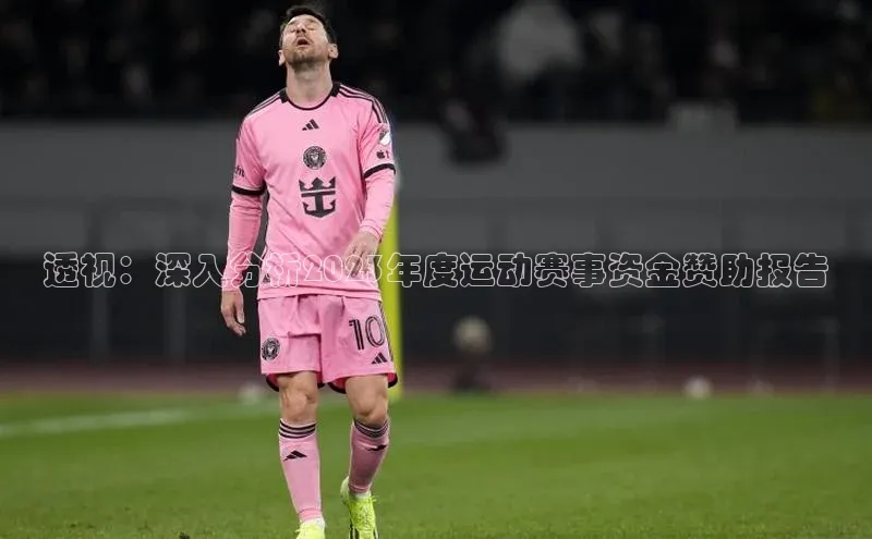透视：深入分析2023年度运动赛事资金赞助报告
