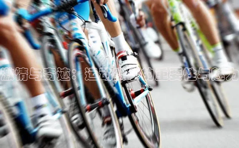 激情与奇迹：运动赛事的重要性与魅力