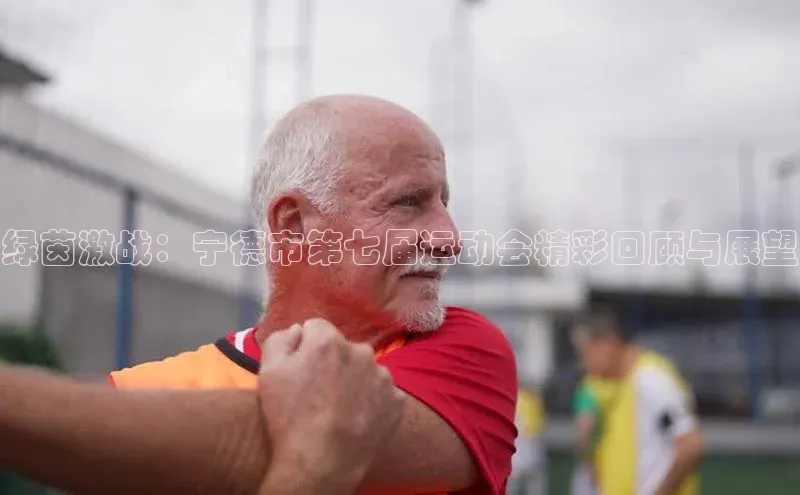 新宝gg创造奇迹平台总代理