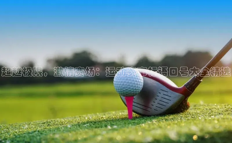 新宝gg官网登录地址