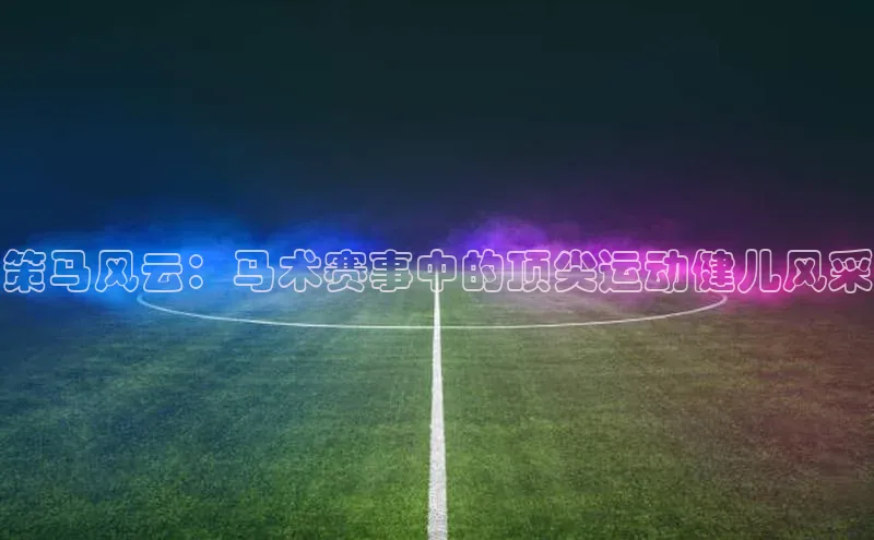 新宝网站登录入口