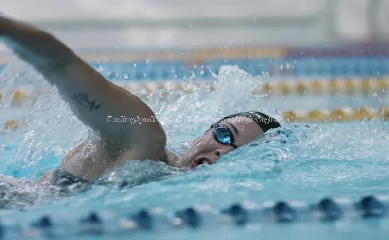 新宝gg官网登录